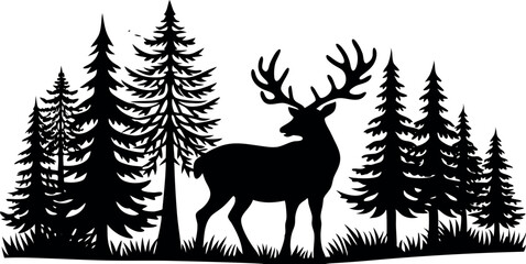 deer in the woods forest