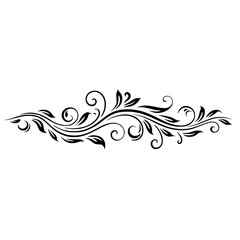 Fototapeta premium Elegant Black Floral Design Element on White Background