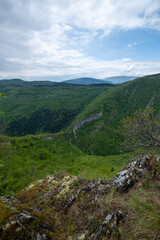 Lush green valley vista Scenic landscape featuring mountains forests and a dramatic sky Wild nature at its finest