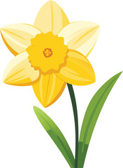 Fototapeta premium Daffodil