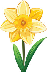 Daffodil