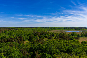 Obraz premium Beautiful Top View from Lighthouse of Darss Peninsula Coast near Prerow in Germany