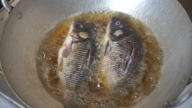 carp fried in a pan using a gas stove