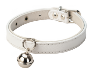 Pet collar with bell png jingling cat collar png decorative dog collar png adjustable pet necklace png cute sound collar png transparent background