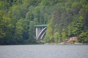 a beautiful shot of a dam surrounded by forest in sweden on a cloudy day