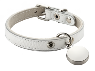 Pet ID collar tag png engraved pet tag png dog name tag png identification tag for pets png collar accessory png transparent background