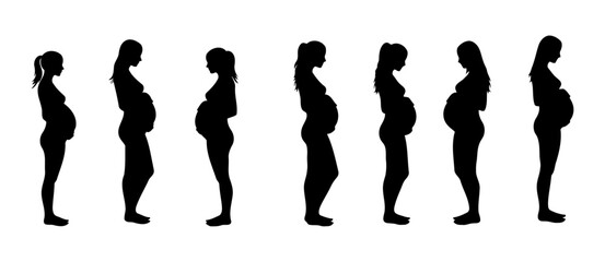 A set of Elegant Silhouettes of Pregnant Women in Side View Maternity and Motherhood Vector Illustration with white background