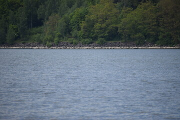 view on lake with boat