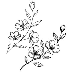 Hand Drawn Forest Flowers, Continuous one line drawing of cherry blossom Simple flower blossom line art vector illustration