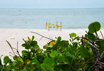 A sea turtle nest buried in the sand on a Gulf of Mexico beach in Florida is protected  with caution tape