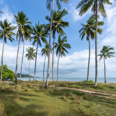 Laem Haad Beach in summer, Koh Yao Yai, Thailand
