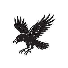 crow flying looking for prey vector