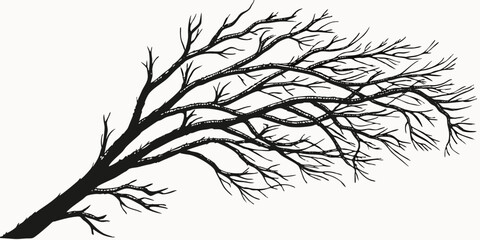 Vector art of Bare tree branches silhouette isolated on transparent background