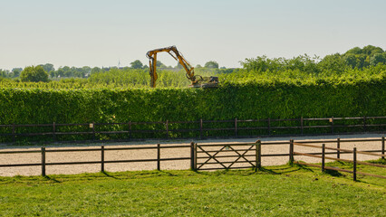 Hedge trimming machine cutting orchard hedges in Zuid-Beveland, Netherlands