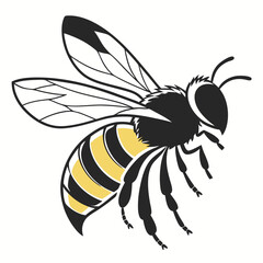 bee vector illustration