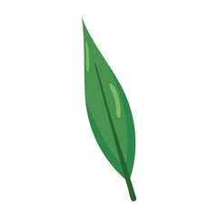 Green narrow leaf icon. Vector