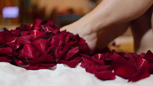 Horizontal 4K video close up. White woman in hotel bed room. Bare female smooth shaved legs move, wiggle, lift, stir, kick red rose petals. Concept of love, Valentine's day, wedding, marriage, holiday
