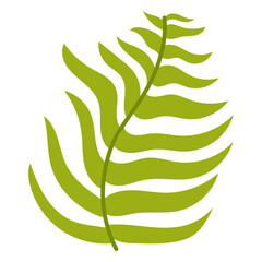 Fern leaf flat