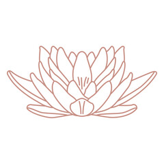 Botanical line art lotus flower