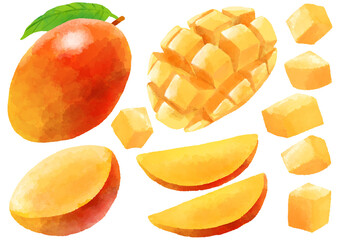 マンゴーのイラスト　手描き　水彩風