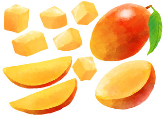 マンゴーのイラスト　手描き　水彩風