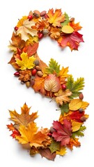 Autumn letter "S" on a white background isolated. Alphabet. Leaves acorns cones gifts of the forest ecology	