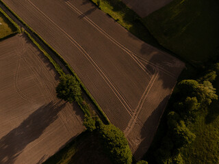 Aerial View of Agricultural Field at Sunset – Neatly Aligned Crop Rows in Golden Light  potatoe field