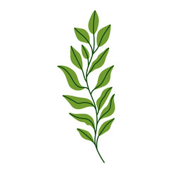 Leaf vector colorful on transparent background