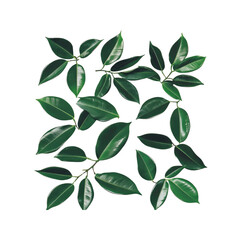 Lush Green Leaves Pattern on Transparent Background