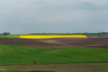 Vast farmland displays a striking yellow crop area against deep brown soil and lush green fields...