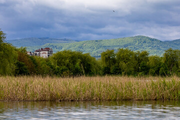 Beautiful lakeside view with green reeds in the foreground and forested hills in the background under a dramatic cloudy sky. Ideal for landscape and travel themes