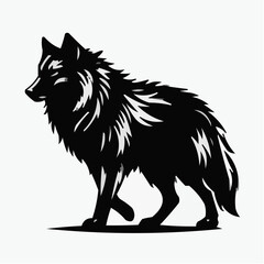 Obraz premium Wolf silhouette walking with detailed fur texture on white background 