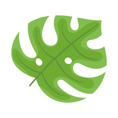 Illustration of a Green Monstera Leaf