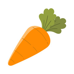 Illustration of a Fresh Carrot
