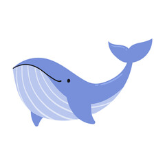 Illustration of a Blue Whale