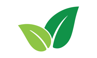 simple leaves illustration