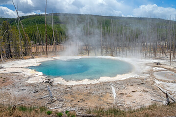 Bleached and Devastated Land Around a Hot Spring