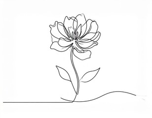 Obraz premium Single Line Drawing Of A Flower