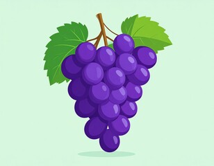 Purple Grapes Bunch Illustration