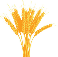 Fototapeta premium Hand-drawn graphic of wheat spikes in vintage style — evokes natural farming, organic ingredients, and rural aesthetics. Rendered in shades of yellow and orange.