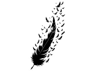 Fototapeta premium Black Feather Transforming into Flying Birds – Freedom, Creativity & Metamorphosis Silhouette Illustration.