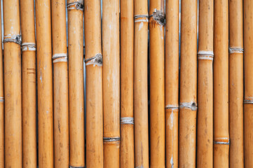 natural background with texture pattern of bamboo with a copy space