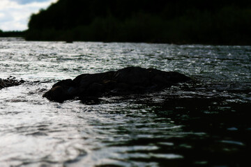 Fototapeta premium Low-angle view of river stream flowing around a dark rock in moody lighting. Nature landscape perfect for concepts of solitude, peace, and raw wilderness in spring or summer