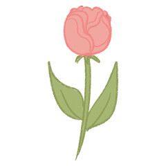 Fototapeta premium pink rose with leaves
