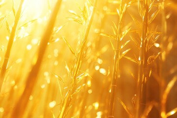 Golden Bamboo Grove in Sunlight