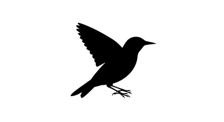 Obraz premium Bird Taking Flight Silhouette on White Background