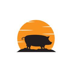 pig logo and vector template