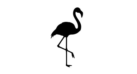 Flamingo Standing Silhouette Against White Background