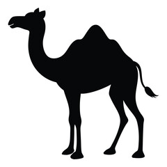 Camel Standing Still Vector Silhouette