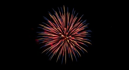 red orange fireworks art in the night sky